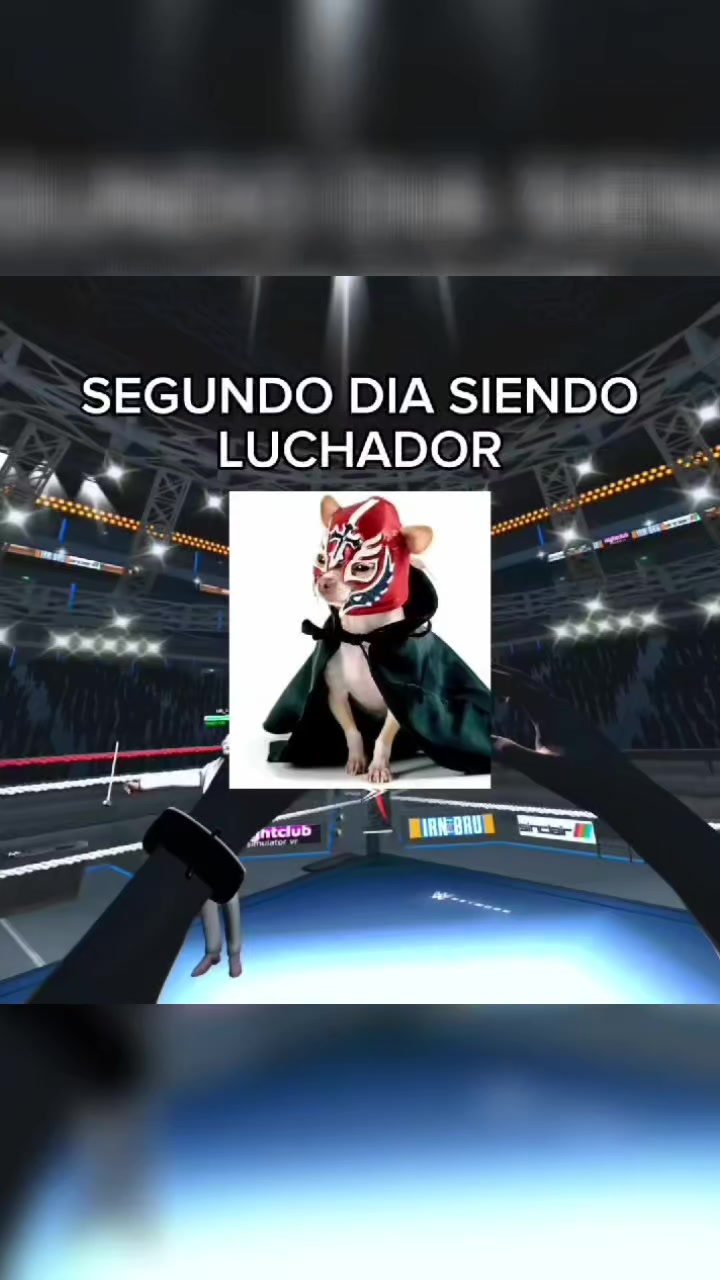 @BolilloVR