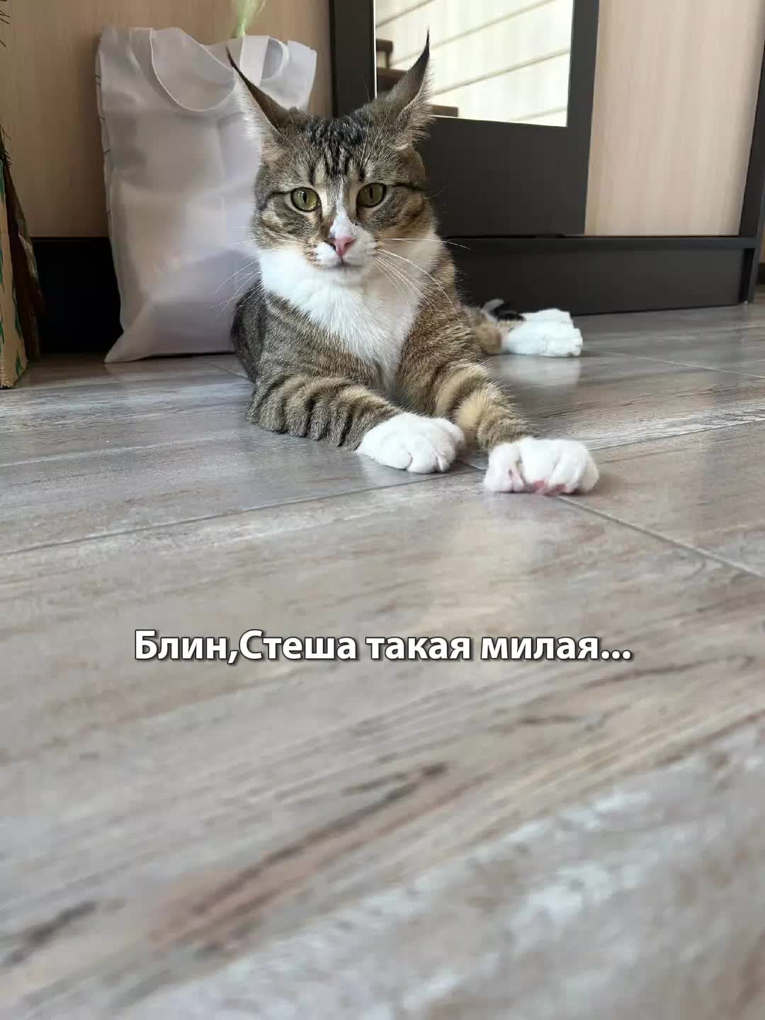 @@milanix_ЛЕГА#