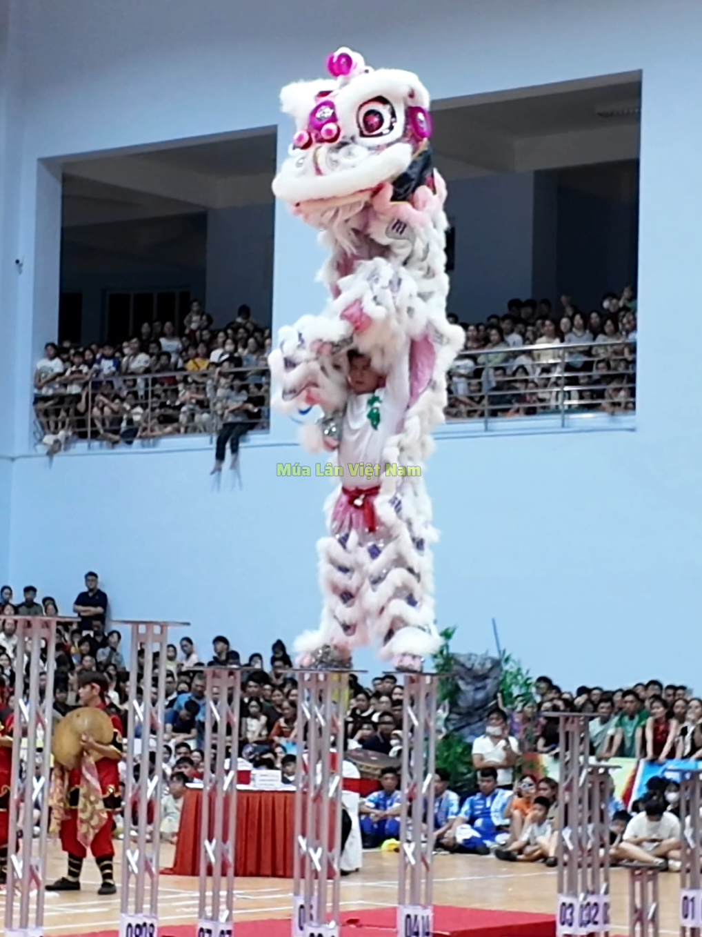 @M&uacute;a L&acirc;n Việt Nam 🇻🇳