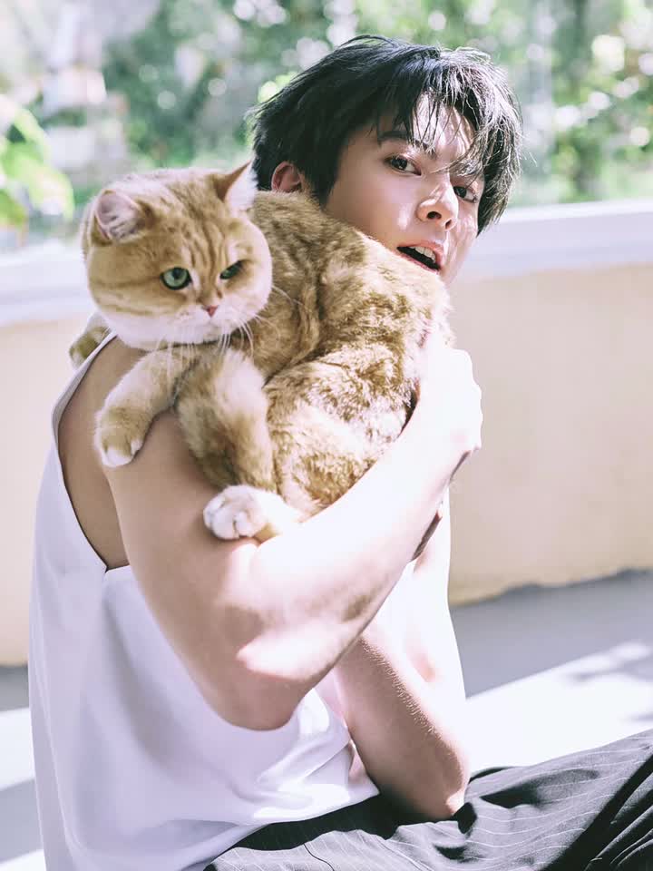 @DylanWangUniverse