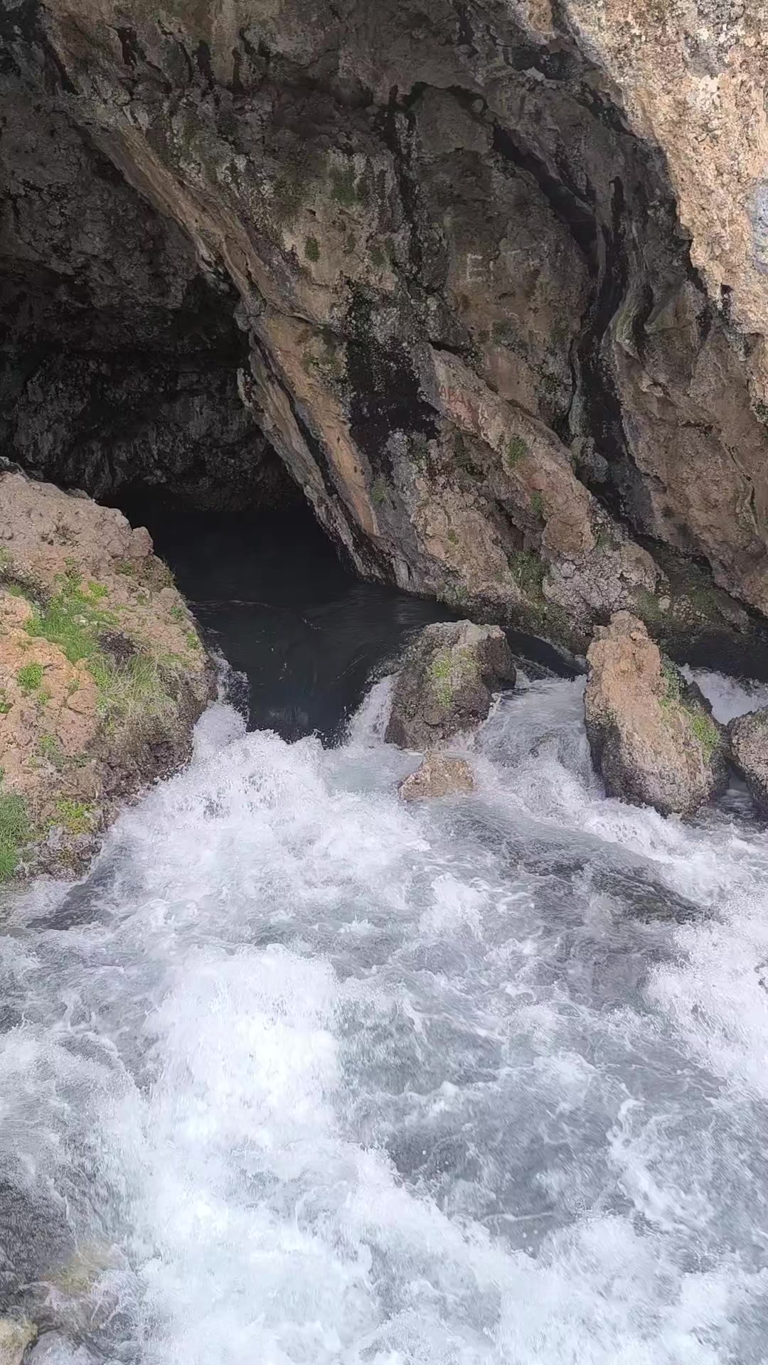 @RIDVAN 65📸📽️