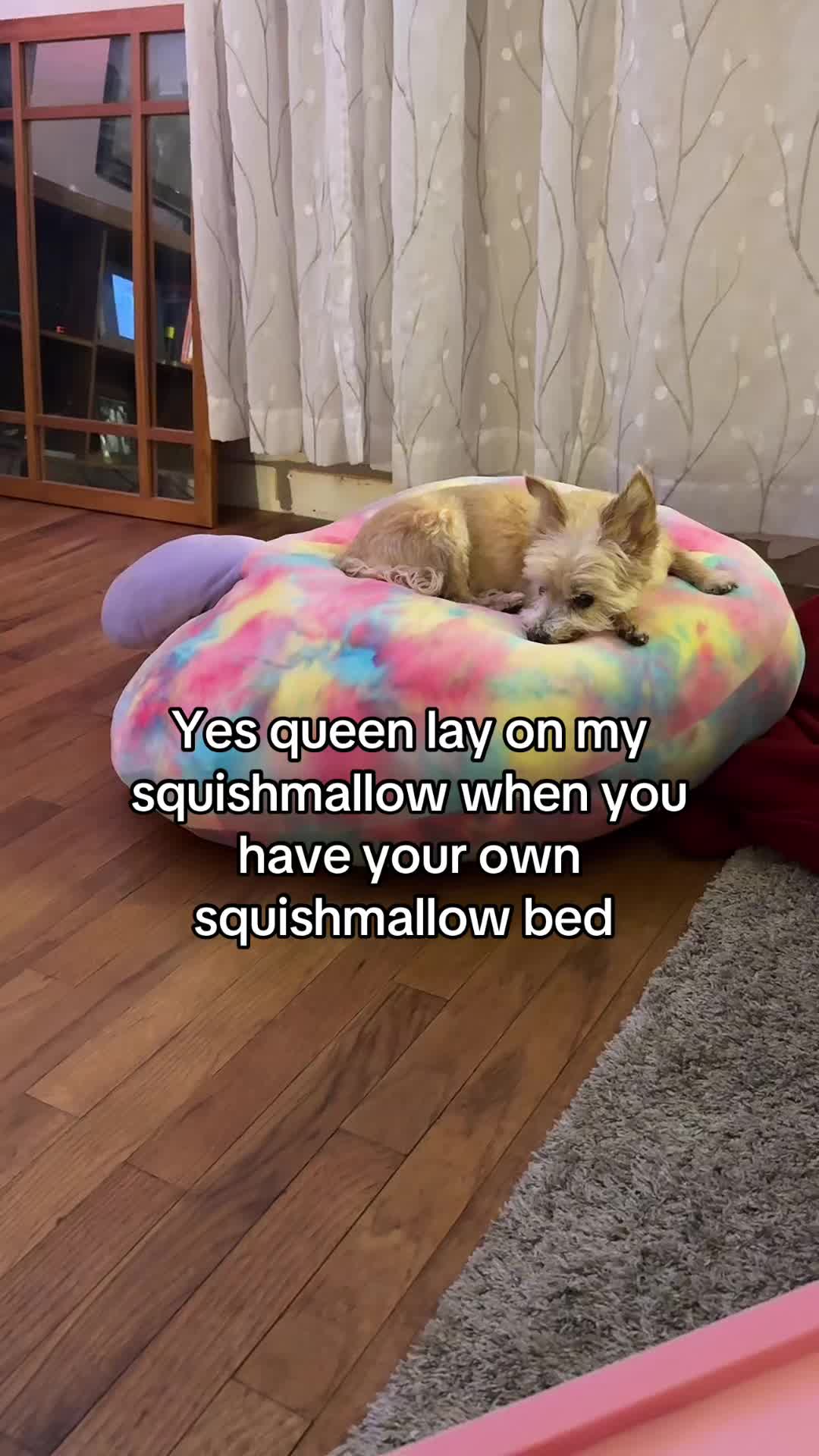 @lil