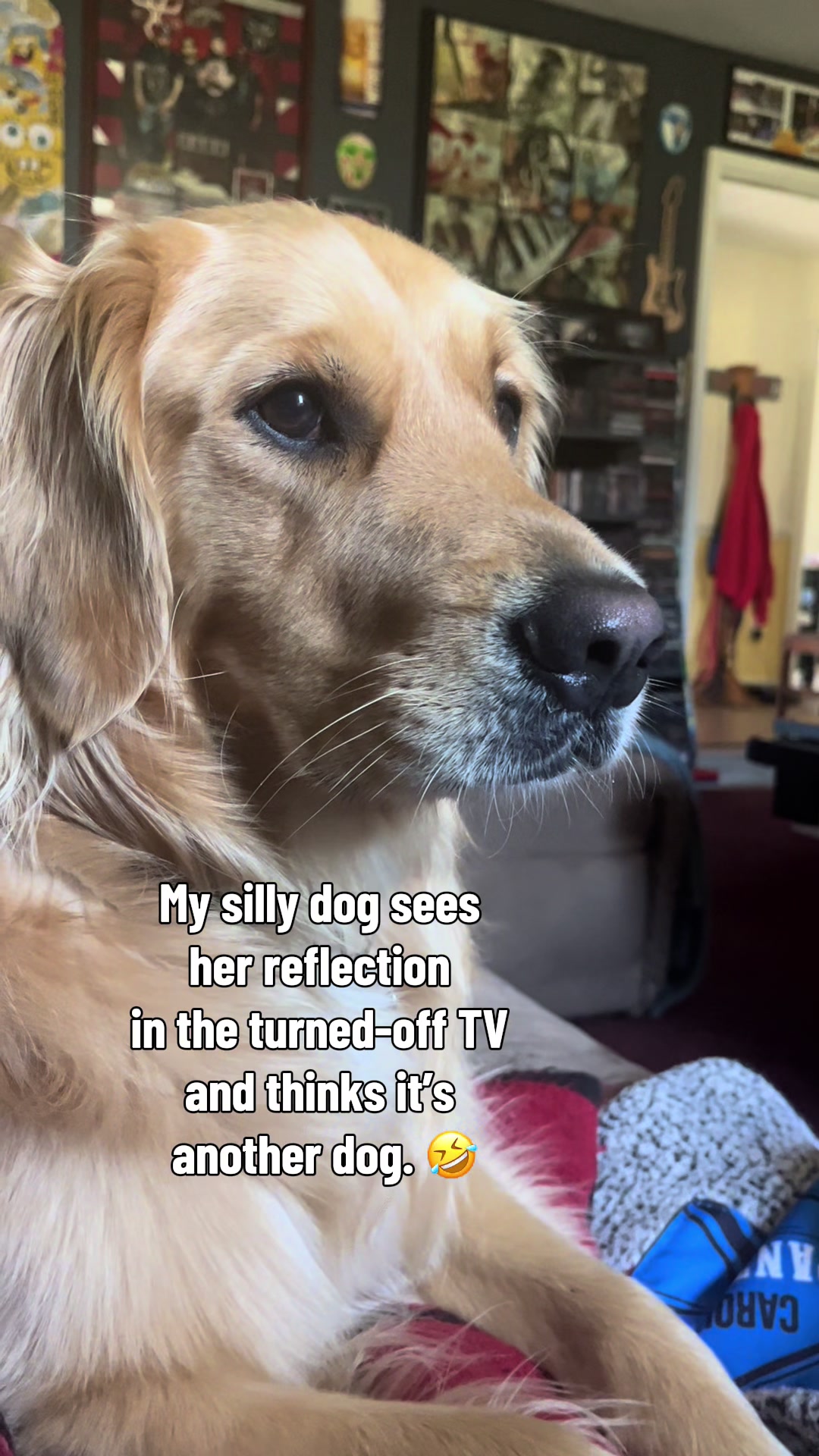 @Winnie the Golden Girly