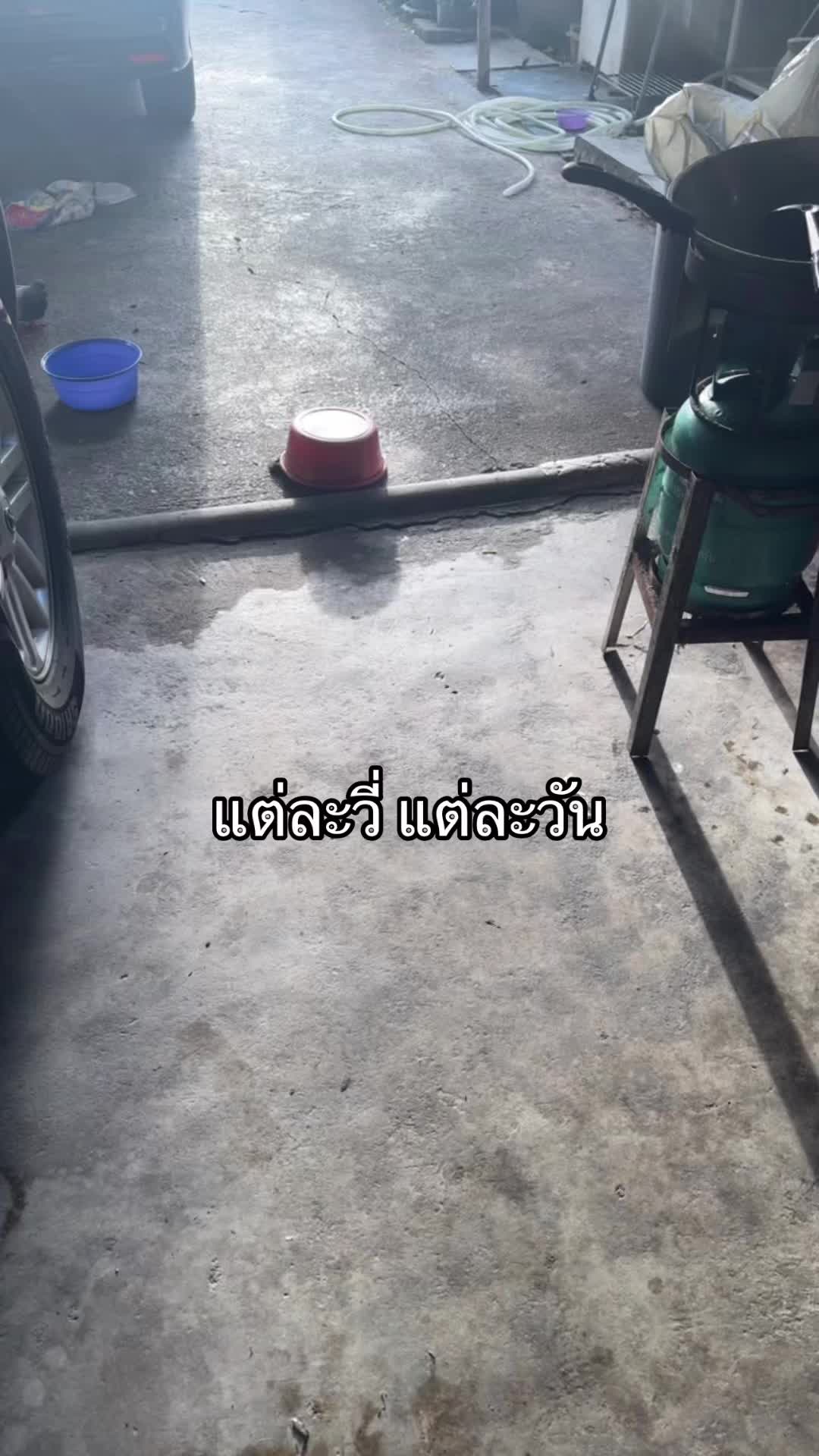 @PB(ผักบุ้ง)
