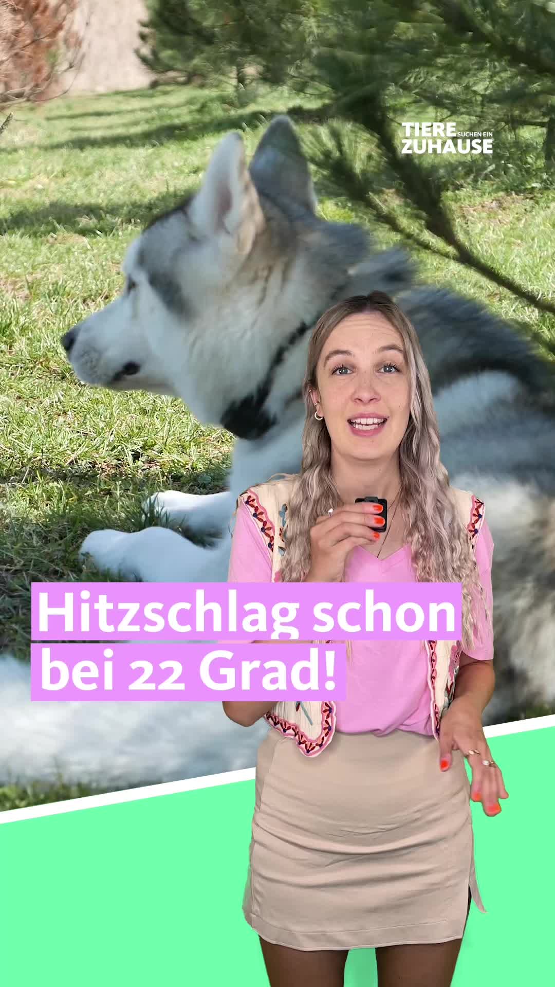@Tiere suchen ein Zuhause