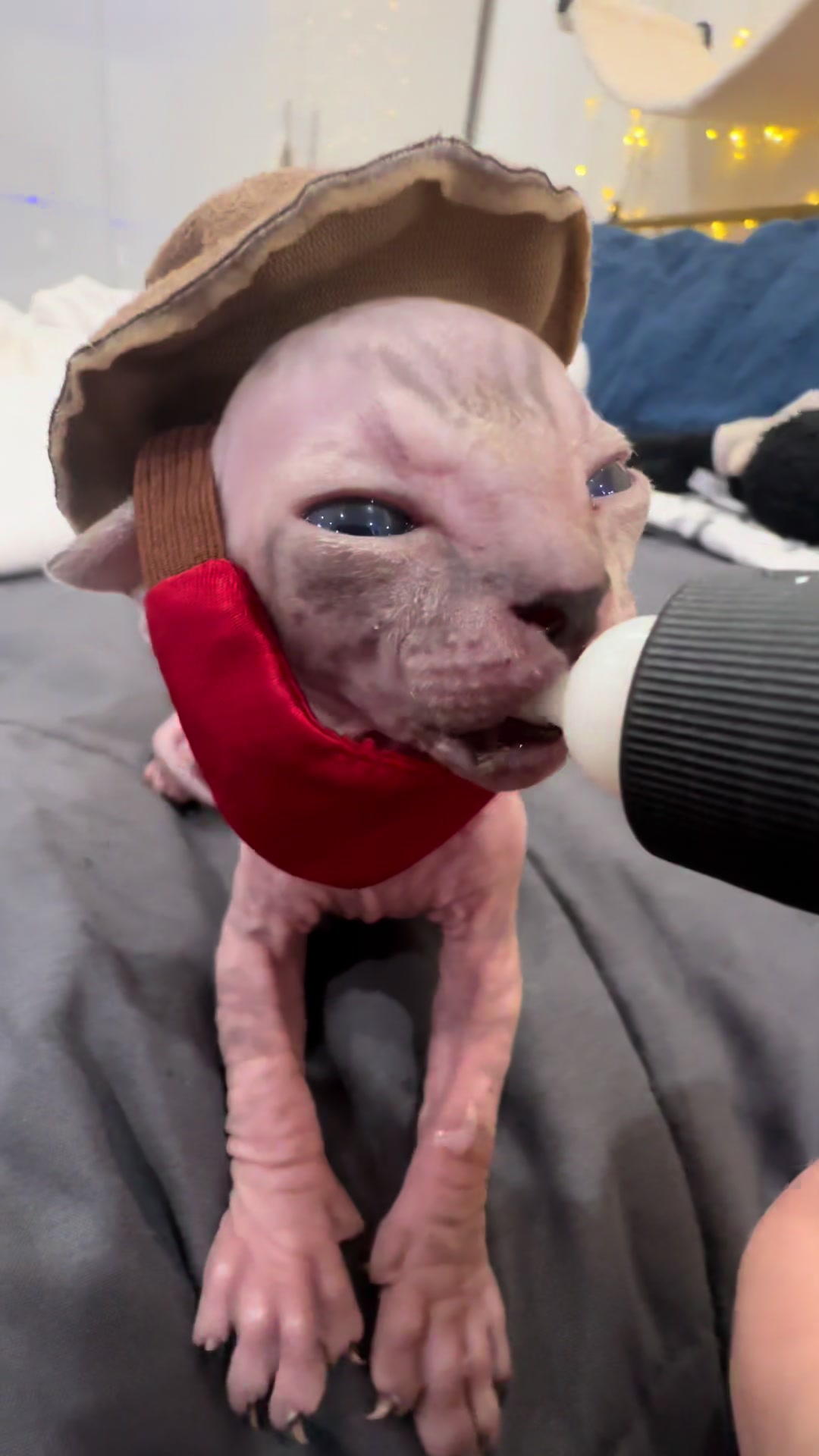 @famoussphynx