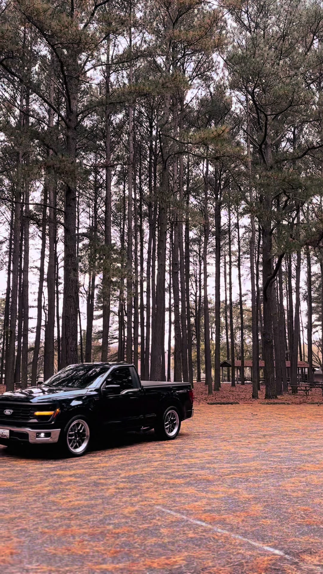 @Pristinexdetails