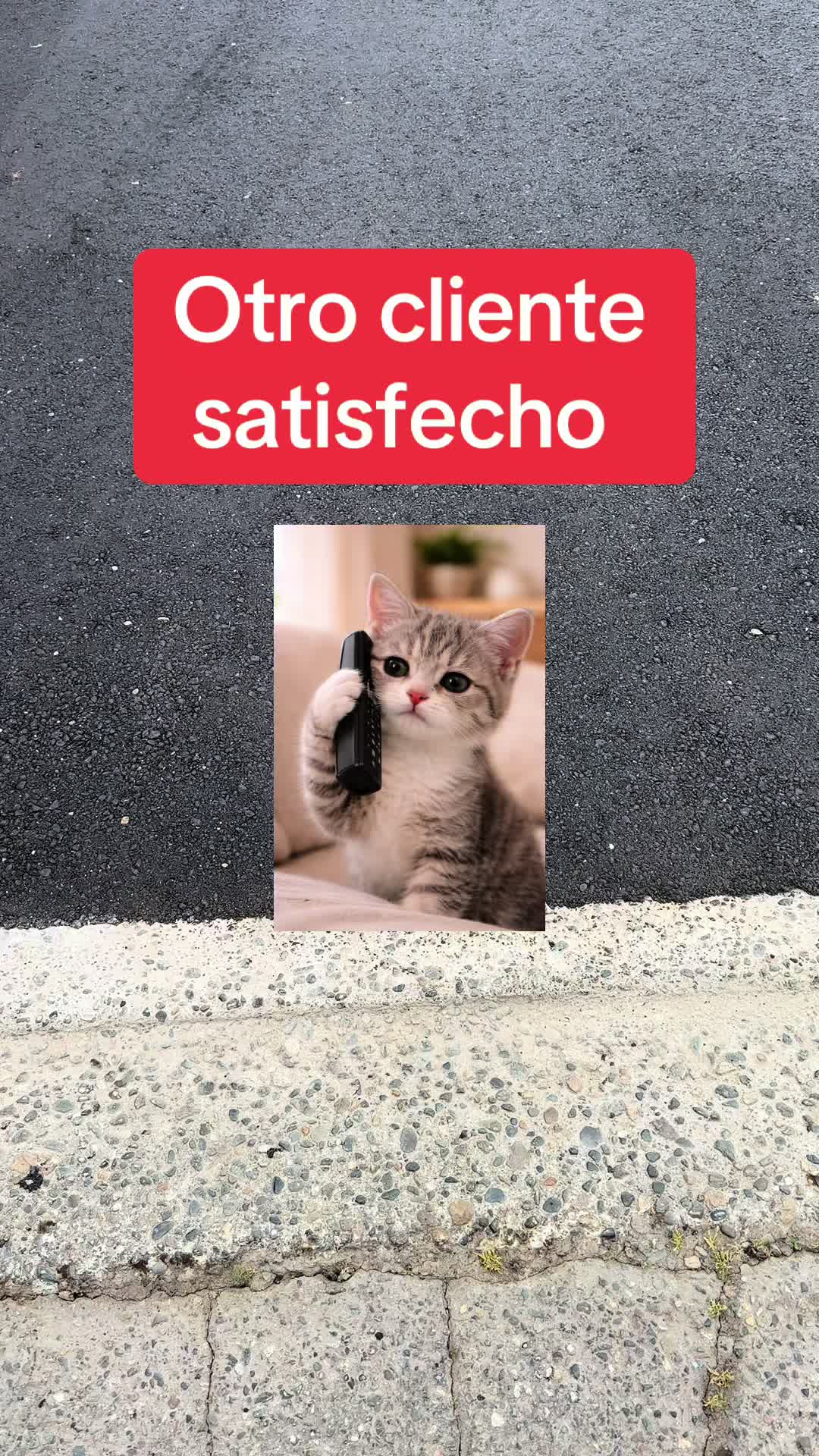 @Gatoflojoloko