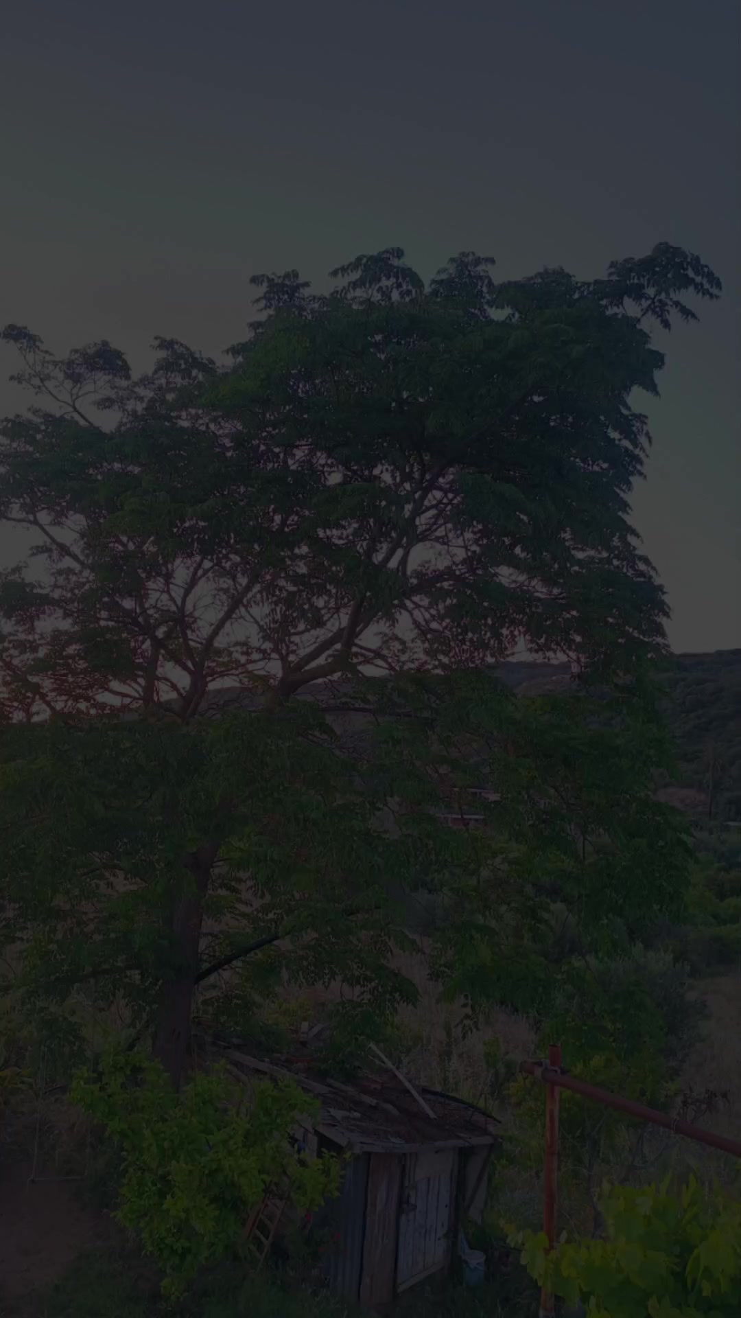 @قُرآنِ 🫀کْريَمً