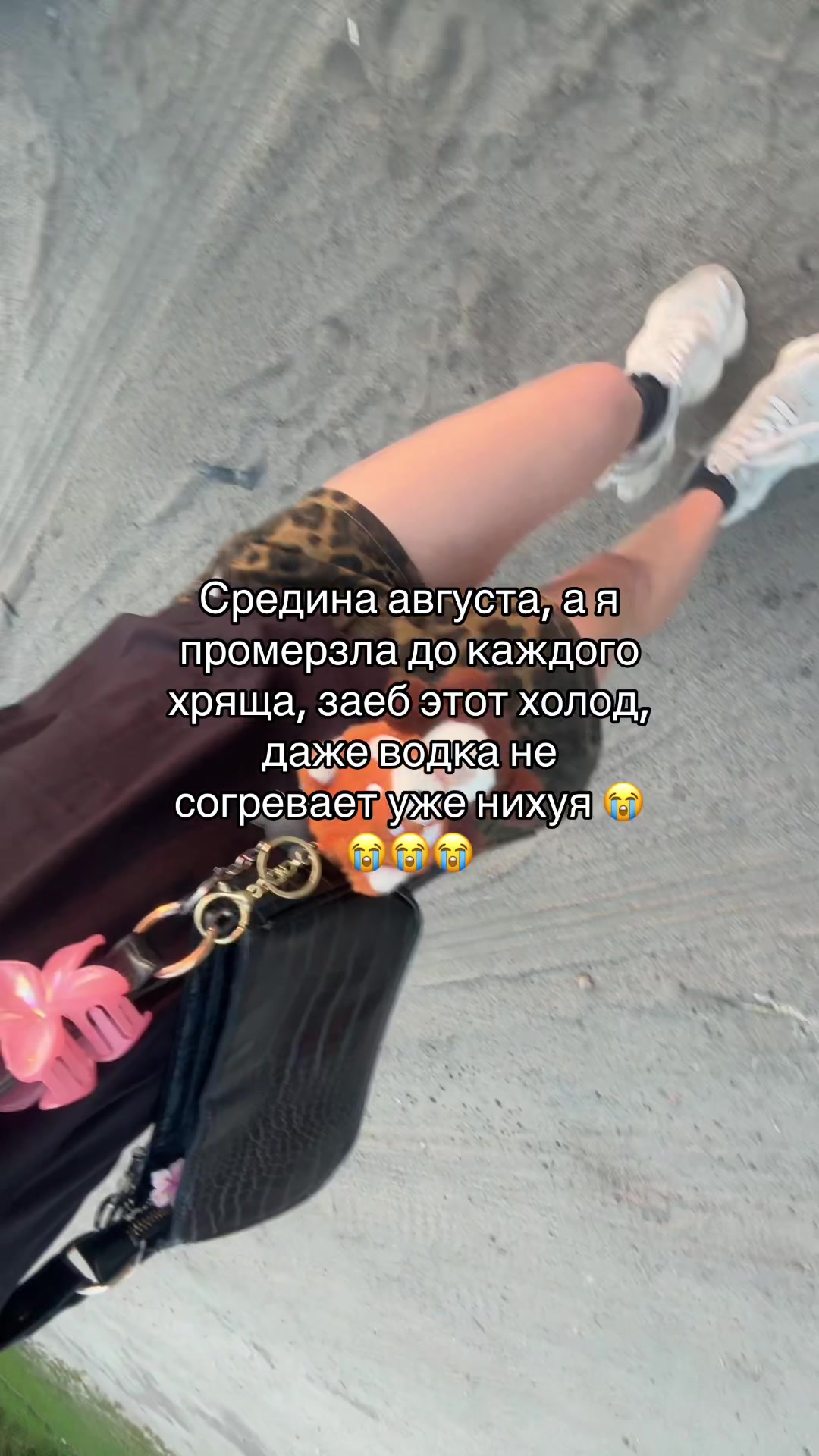 @jigalo🐰