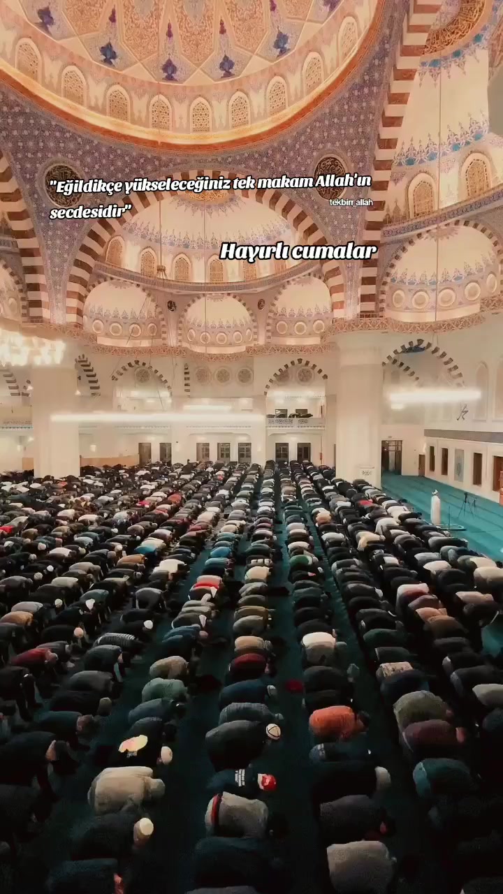 @tekbirr_Allah