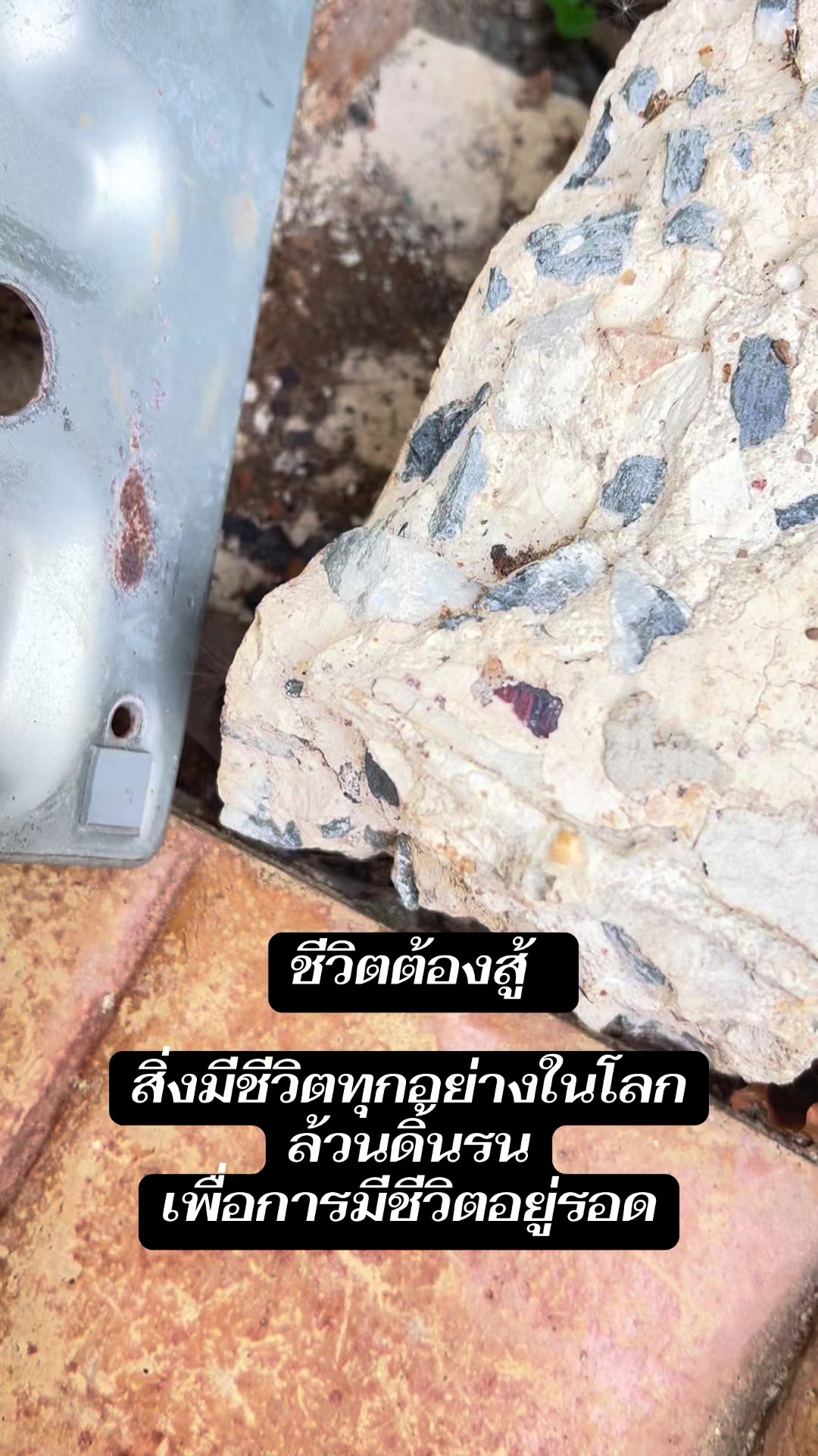 @พี่เหมยแจ่มว๊าวหุ่นดีสุขภาพดี