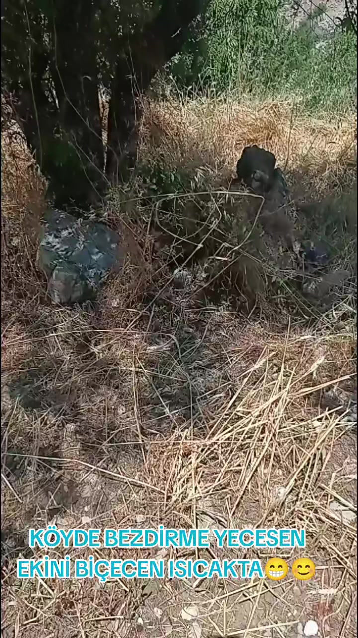 @ÇALIKOĞLU