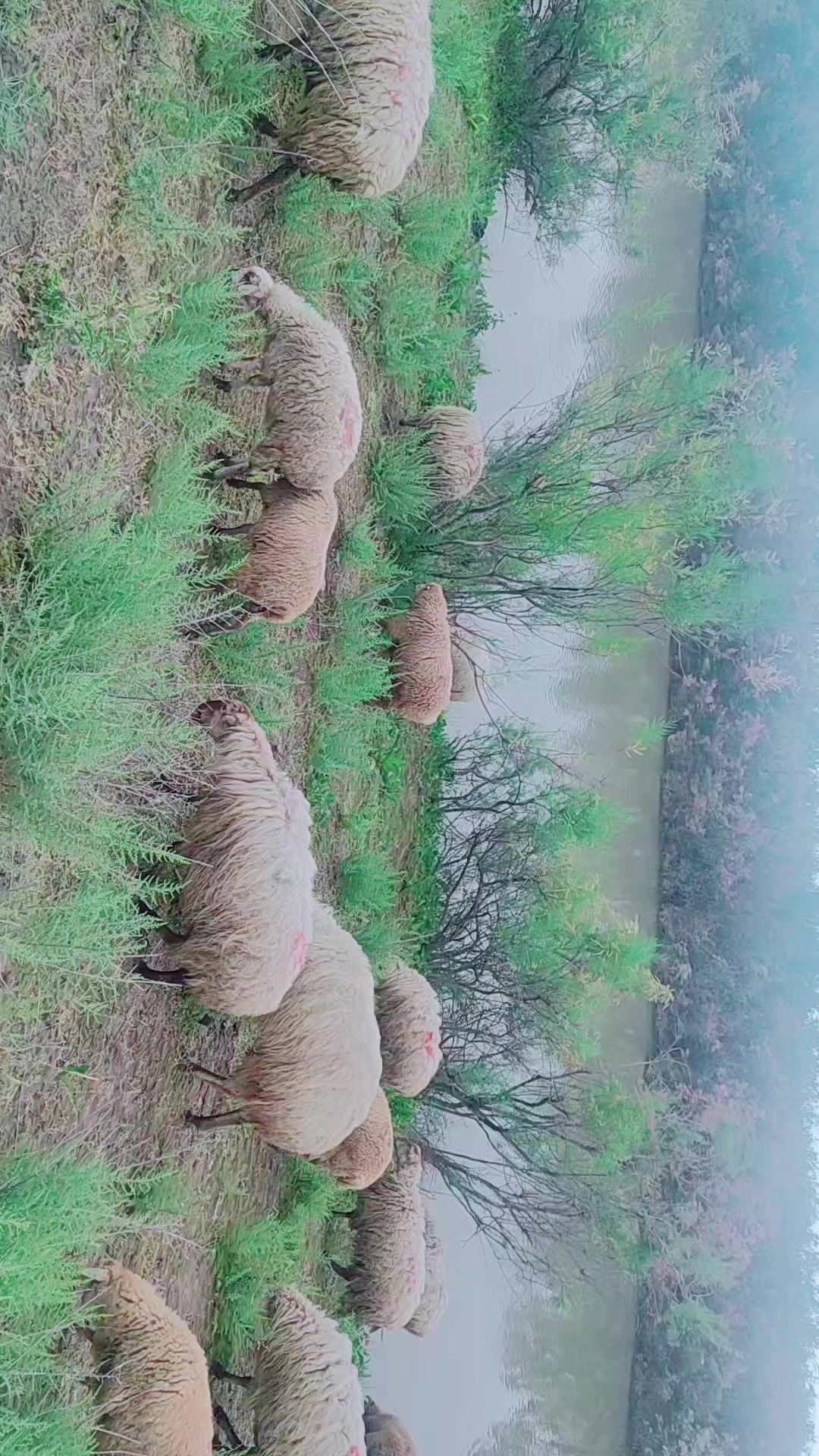 @UMUD__033