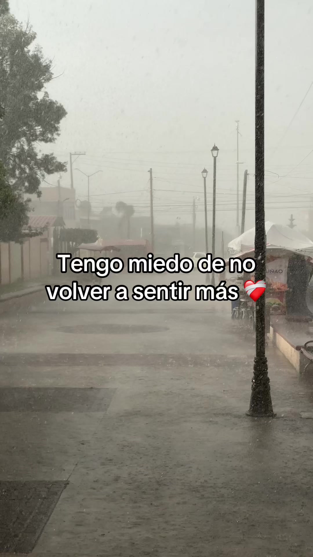 @DejaML