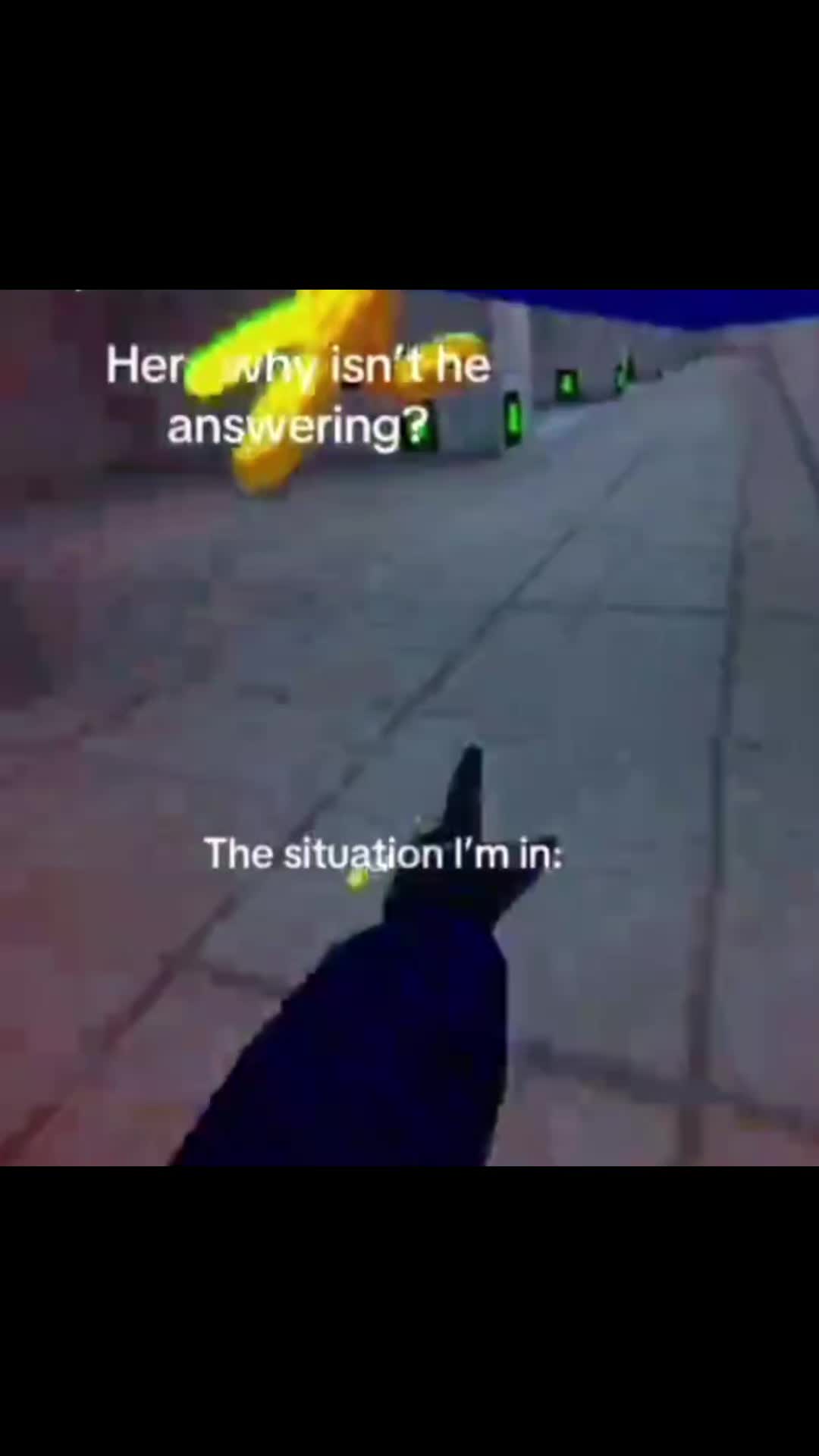@⭐𝓩𝓮𝓷𝓯𝓻𝓶𝓼𝓫⭐