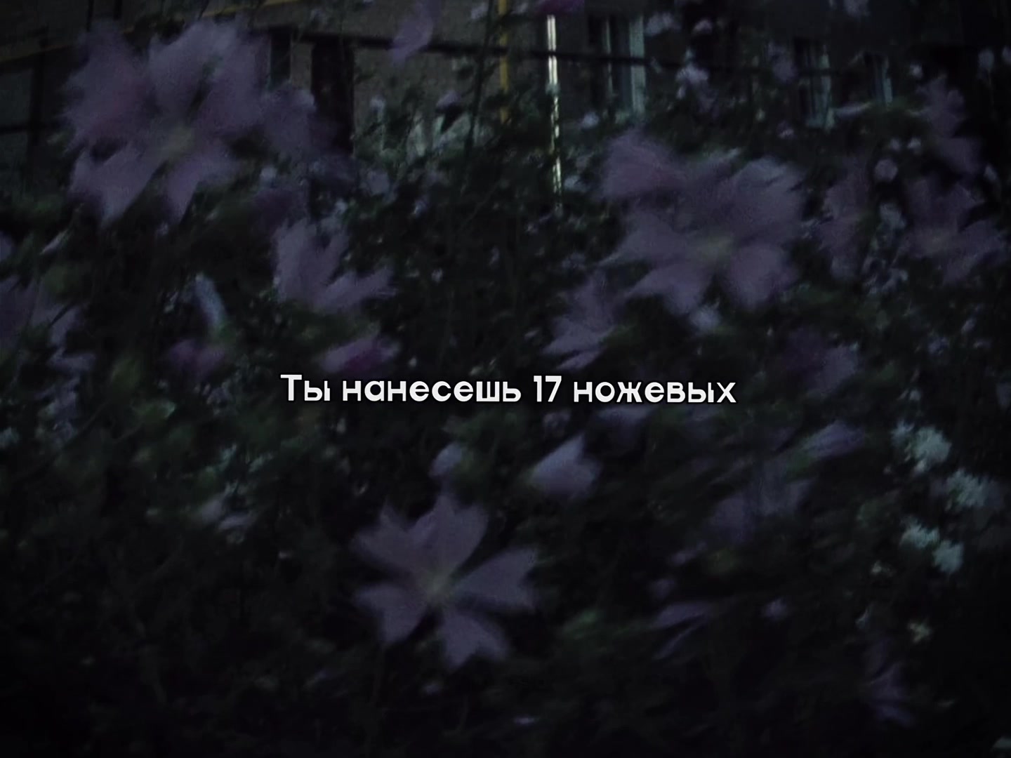 @маося✿*ﾟ︎