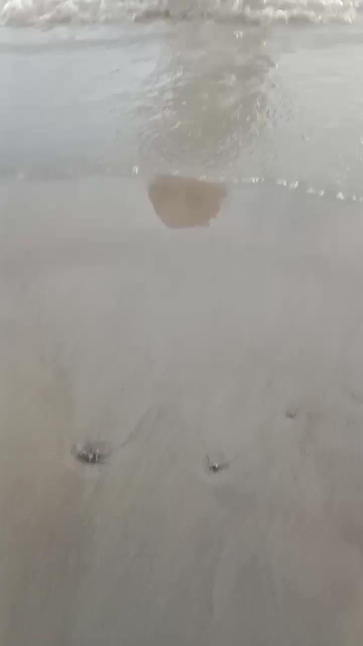 @🤏🏻💫🫰 আসক্ত মন💔❤️🥰