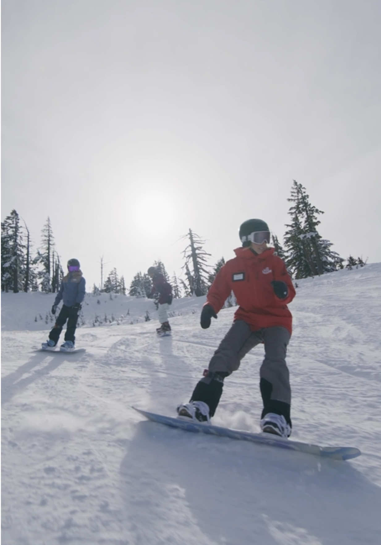 @mt.bachelor