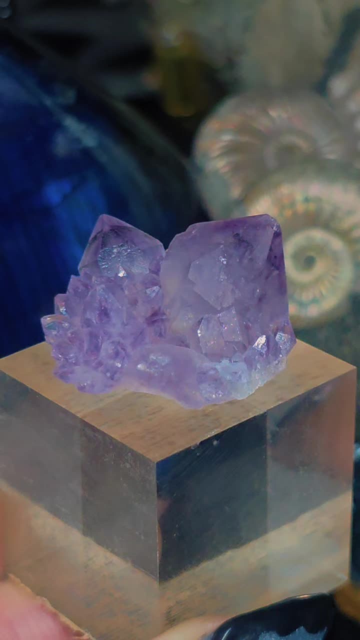 @natures.glitter