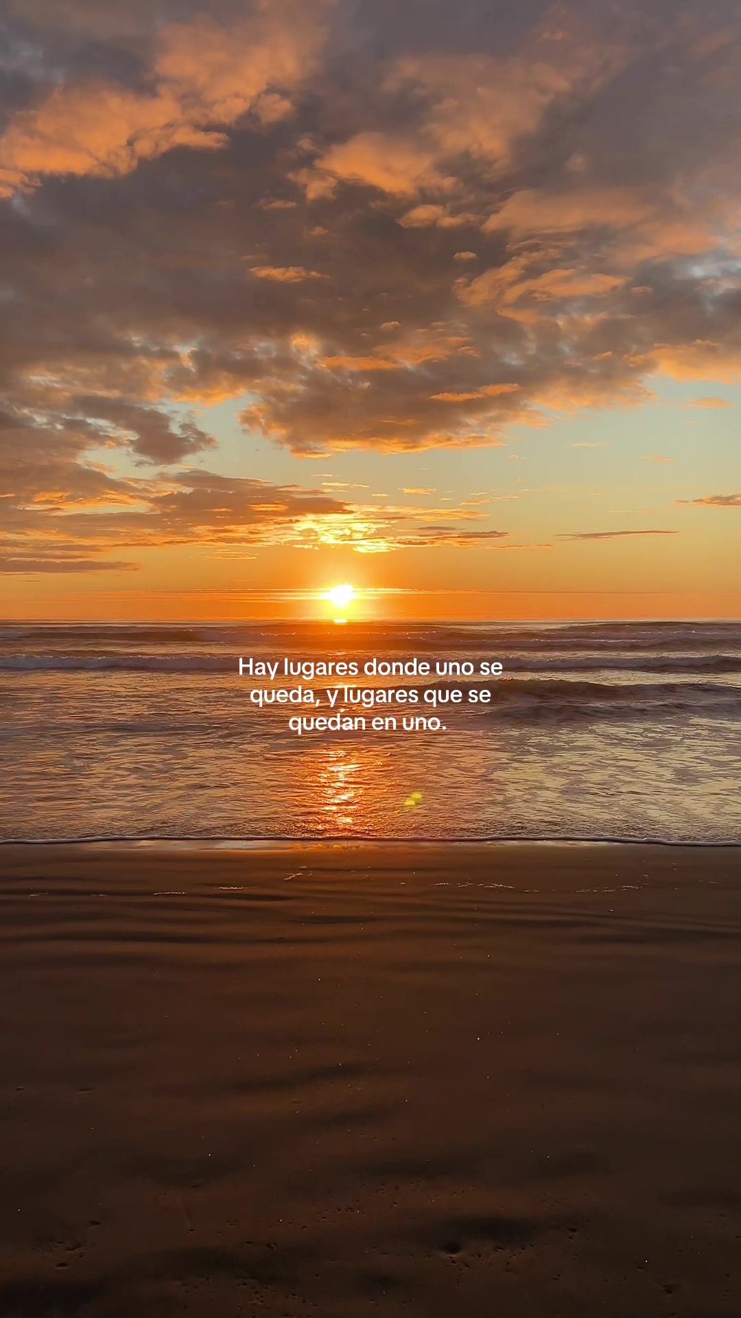 @Andy_Anaya🦋