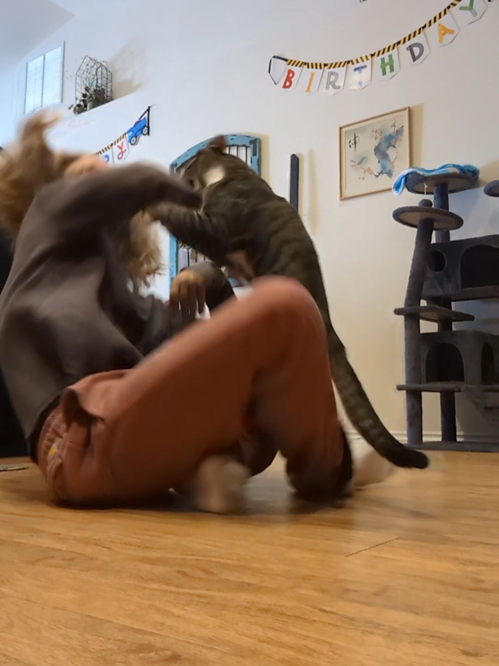 @Rainy the Cat