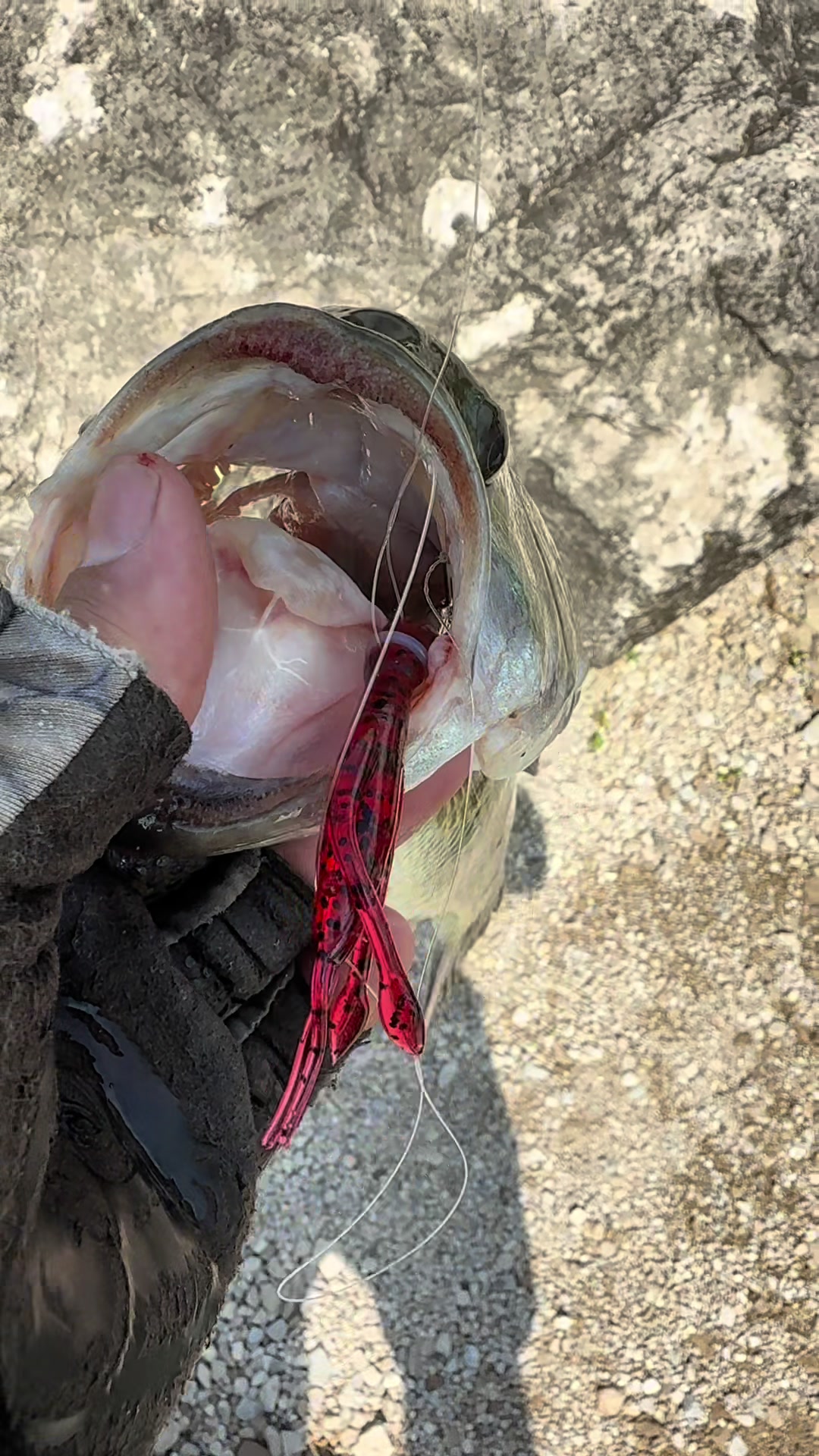 @Get Ugly Fishing&trade;