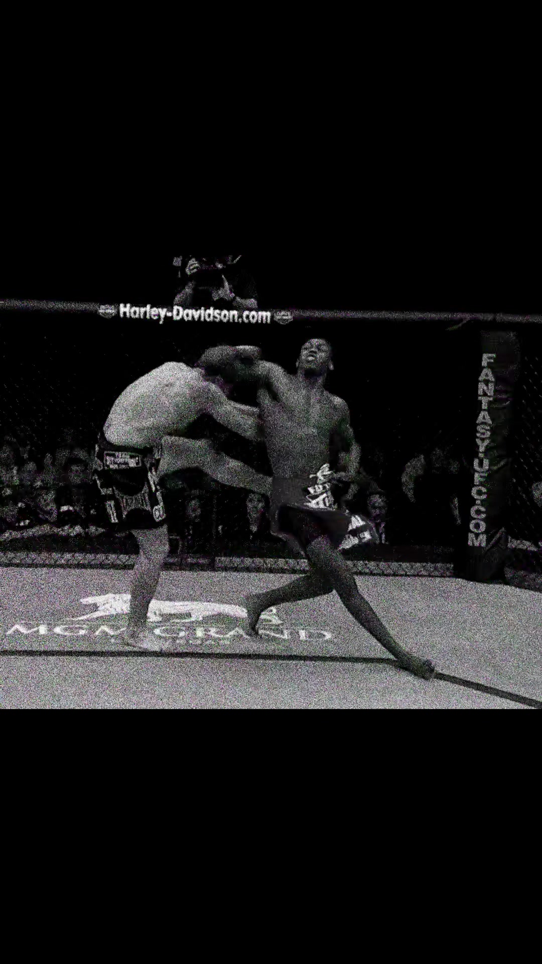 @logan homesberger 🥊🥋🏋️♂️