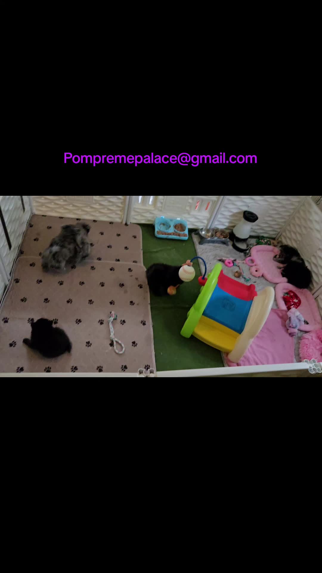 @Pompreme Palace