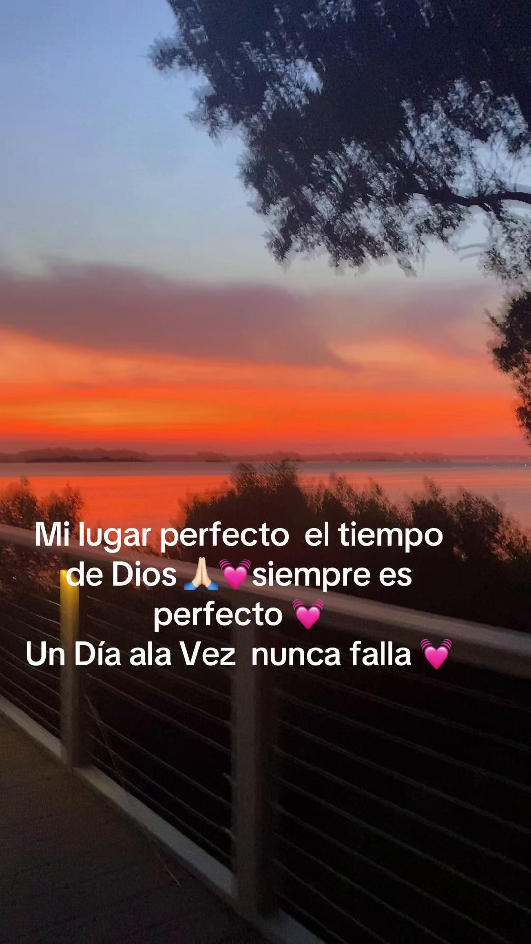 @💓Guerita🌳🩷