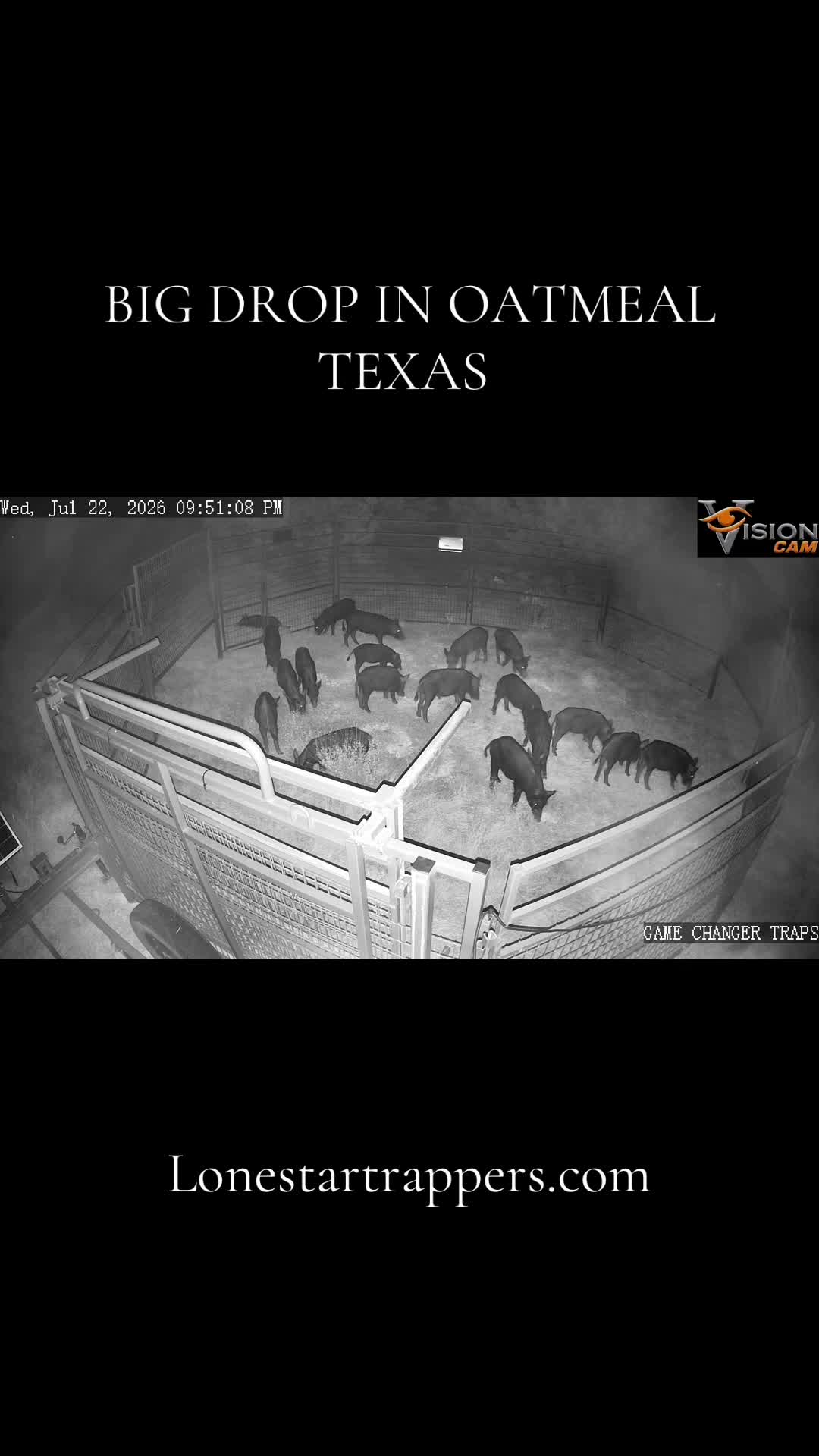 @LoneStarTrappers&Buyers