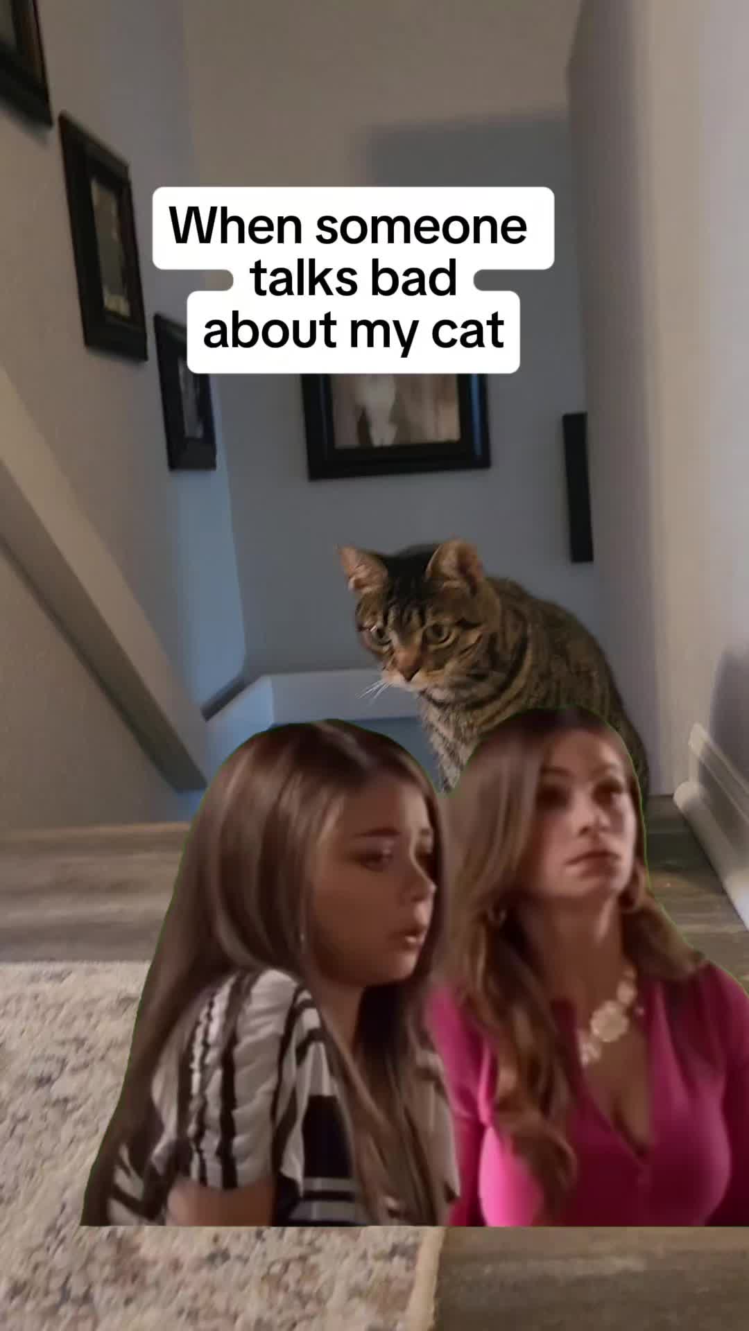 @9 Lives of Cat Chaos