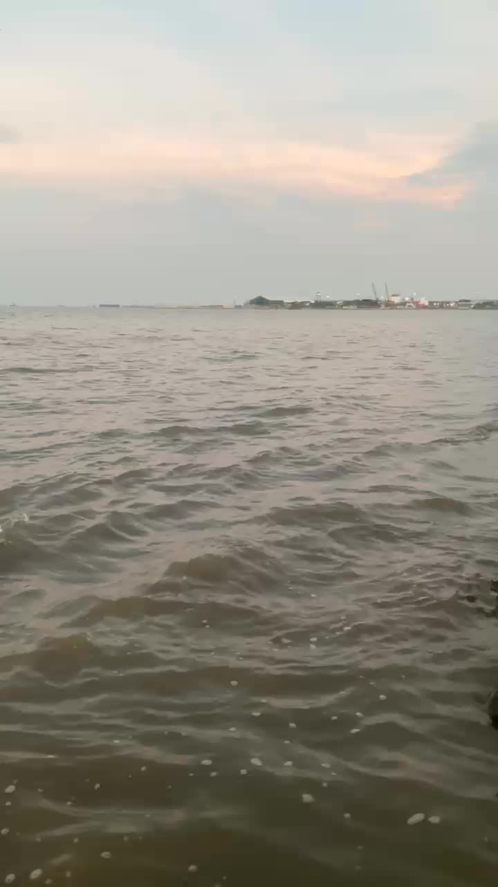 @rutinidead