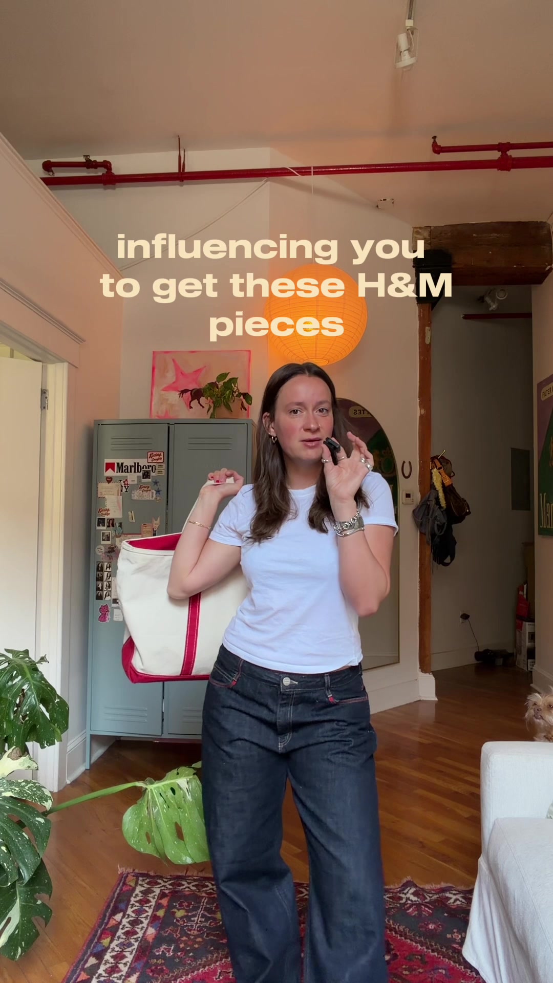 @emma dimarco
