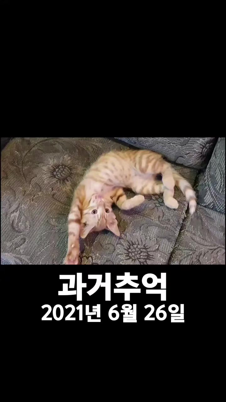 @๋์ฐ๐ถ๐