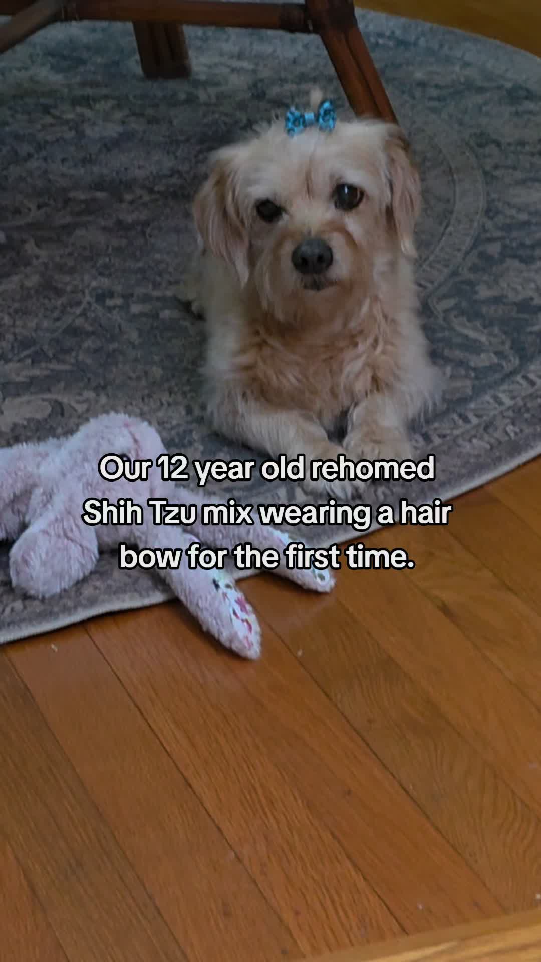 @Little Miss Mollie