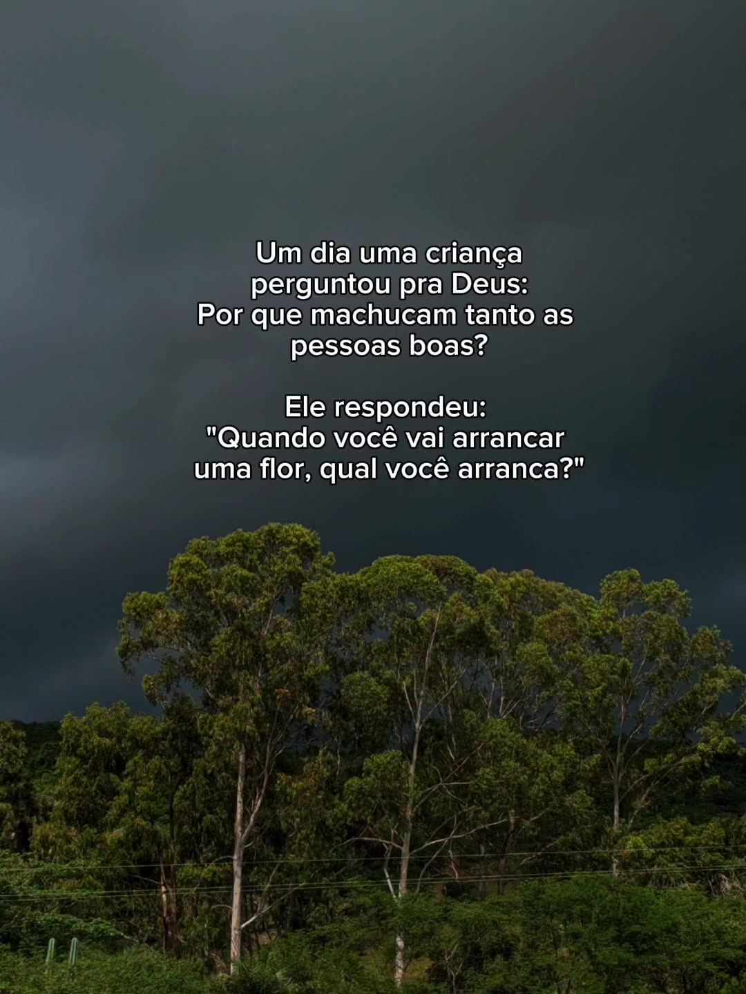 @Jl frases