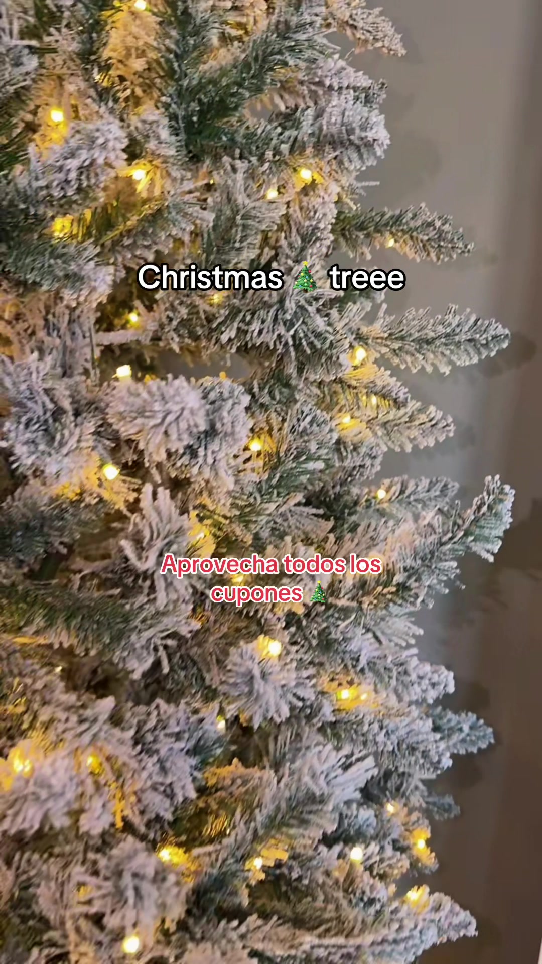 @alivalenciall
