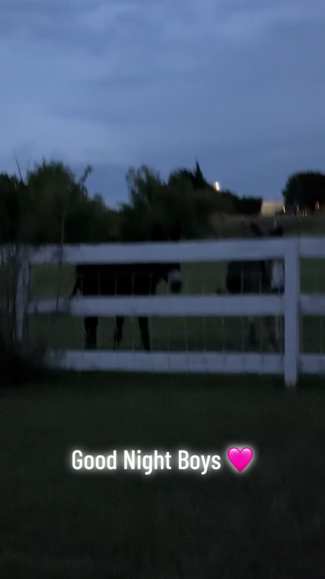 @DonkeyandHoundMama