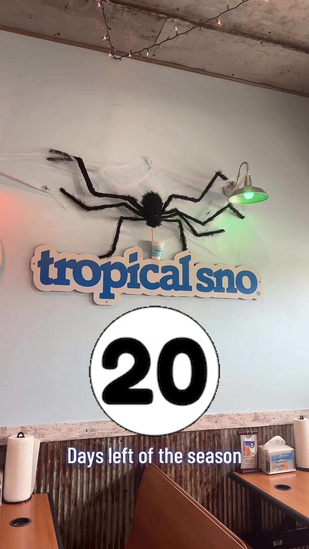 @tropicalsnofoxcities