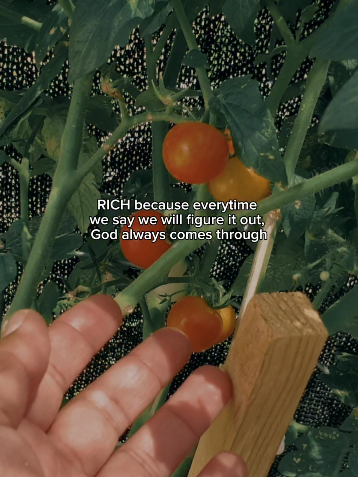 @CrayzHottie✝️🌻❤️