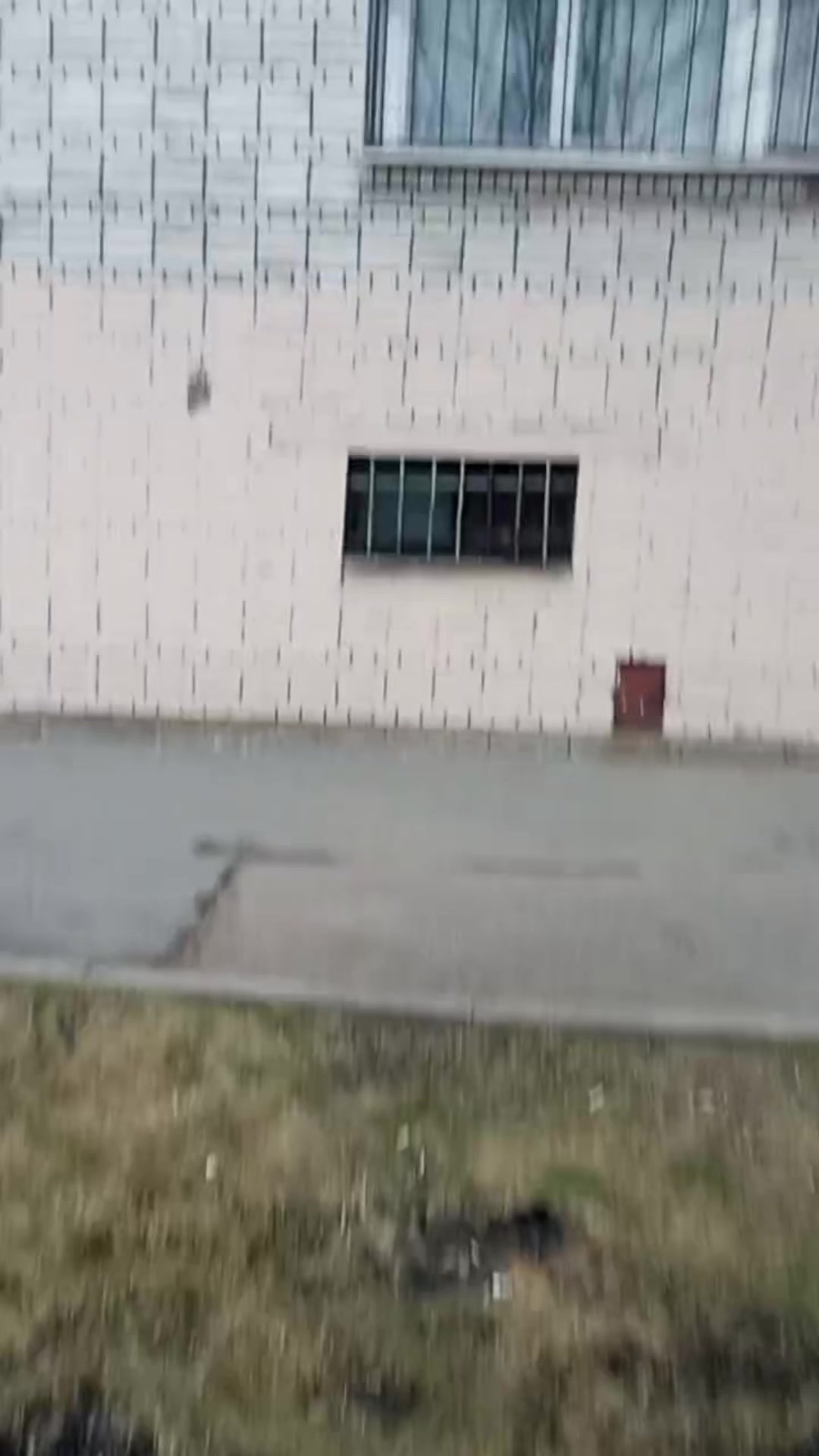 @sokol