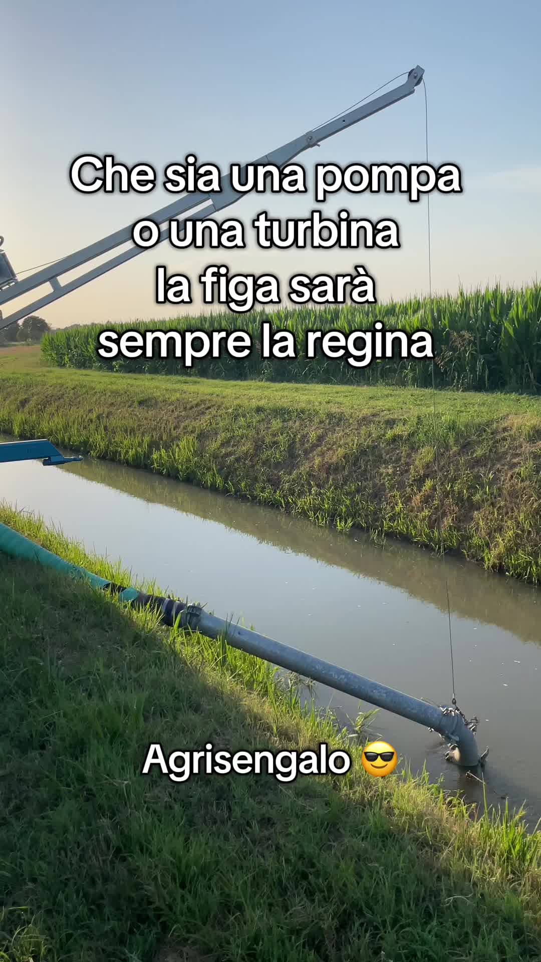 @Agrisengalo😎
