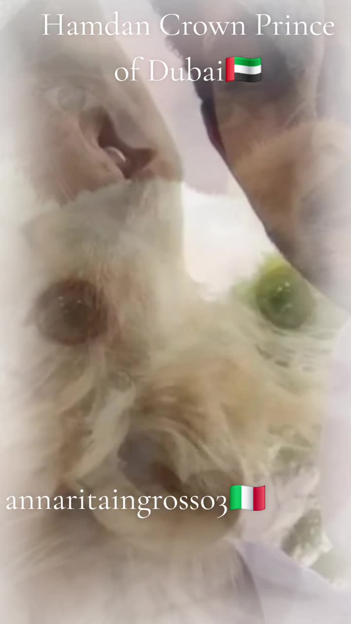 @annaritaingrosso3