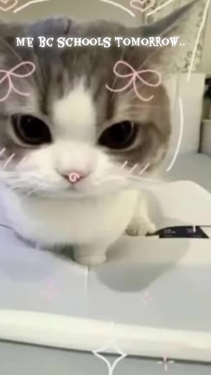 @SL33PY