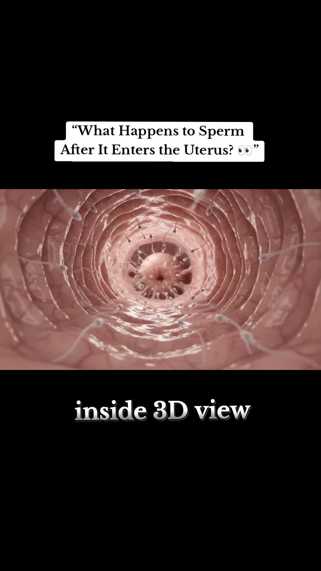 @BABY INSIDE-7
