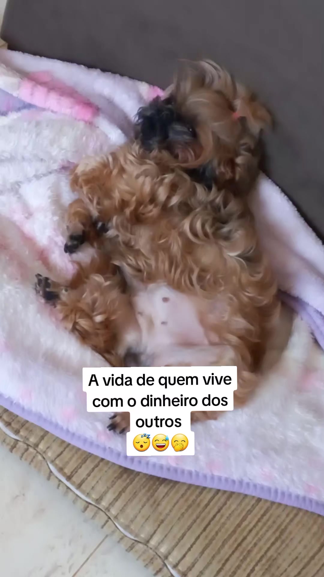 @Rafaela Rolin de Moura