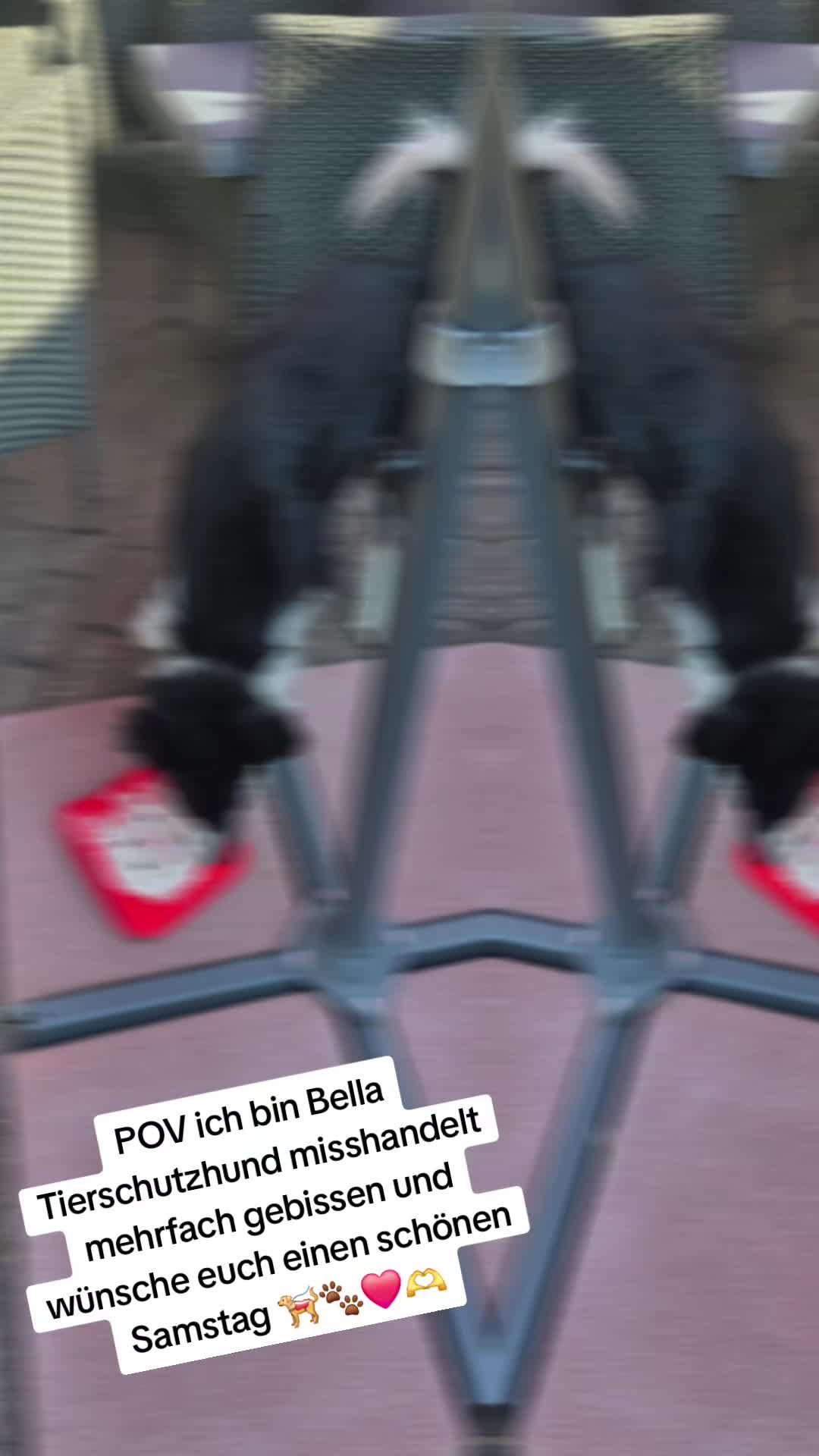 @Tatjana & Bella