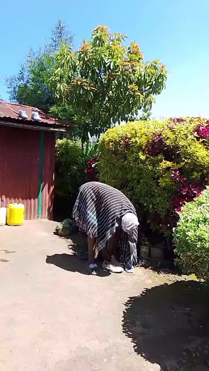 @smartii "mwaura"