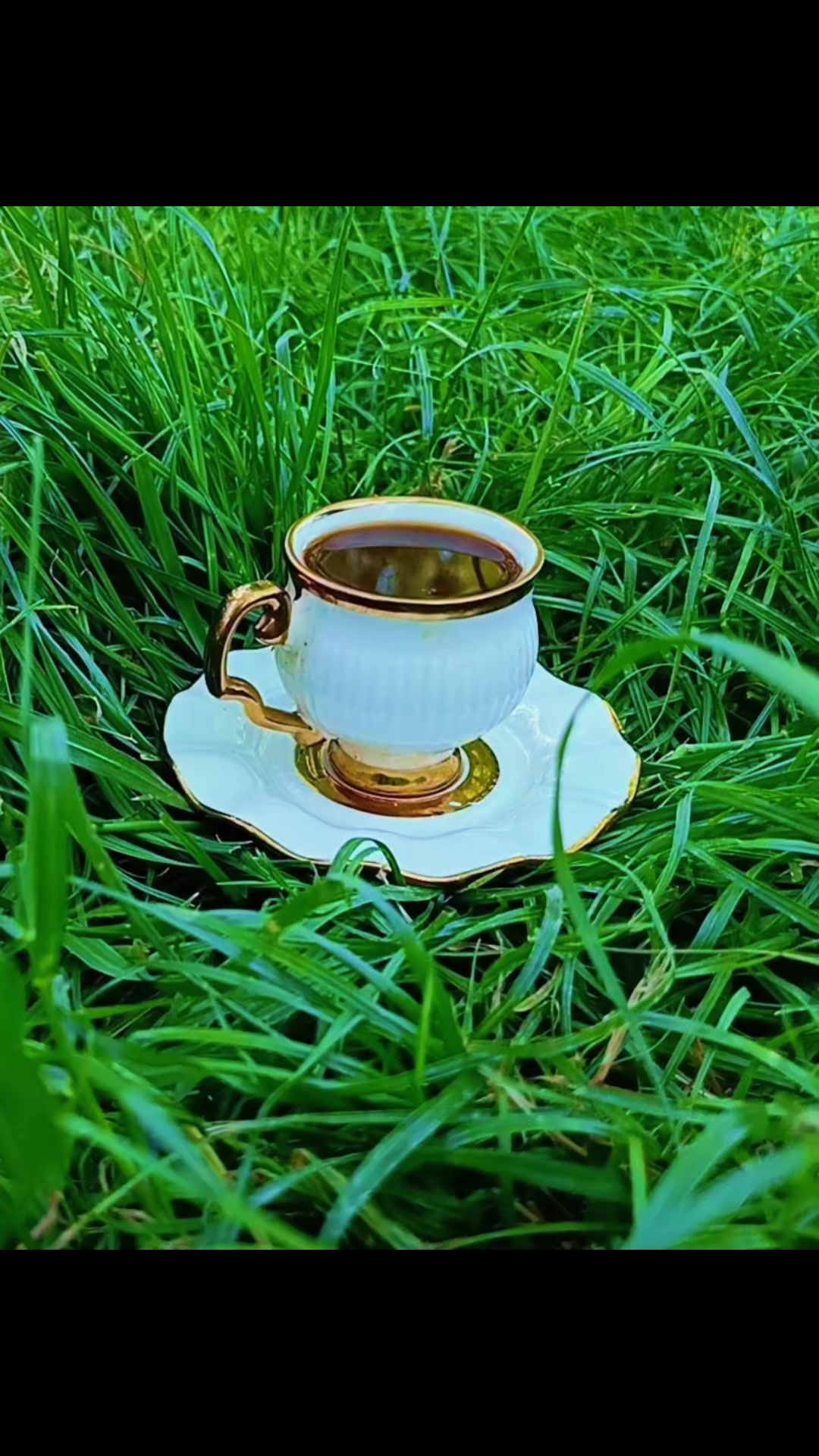 @🪽 ملاك 🪽🦋 𝚏𝚘𝚛𝚎𝚟𝚎𝚛 🦋